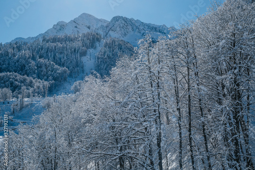 mountains in winter