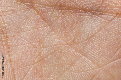 human skin texture in the palm of your hand, light lodoni skin with life lines, high detail and high resolution