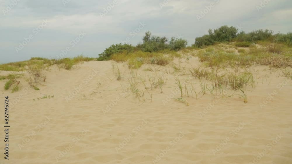 Dune sandy beach overlooking the blue sea
