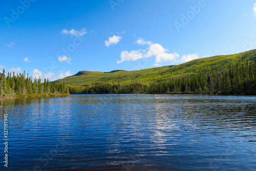 Beautiful landscape of a canadian lake in summer