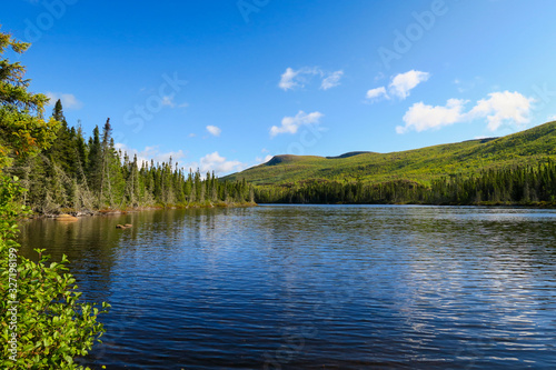 Beautiful landscape of a canadian lake in summer