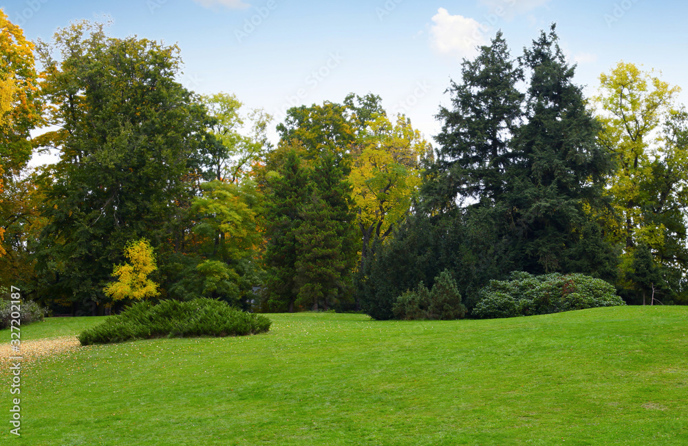Tree and grass. Park landscape. Nature background. Tree and grass. Park landscape. Nature background.