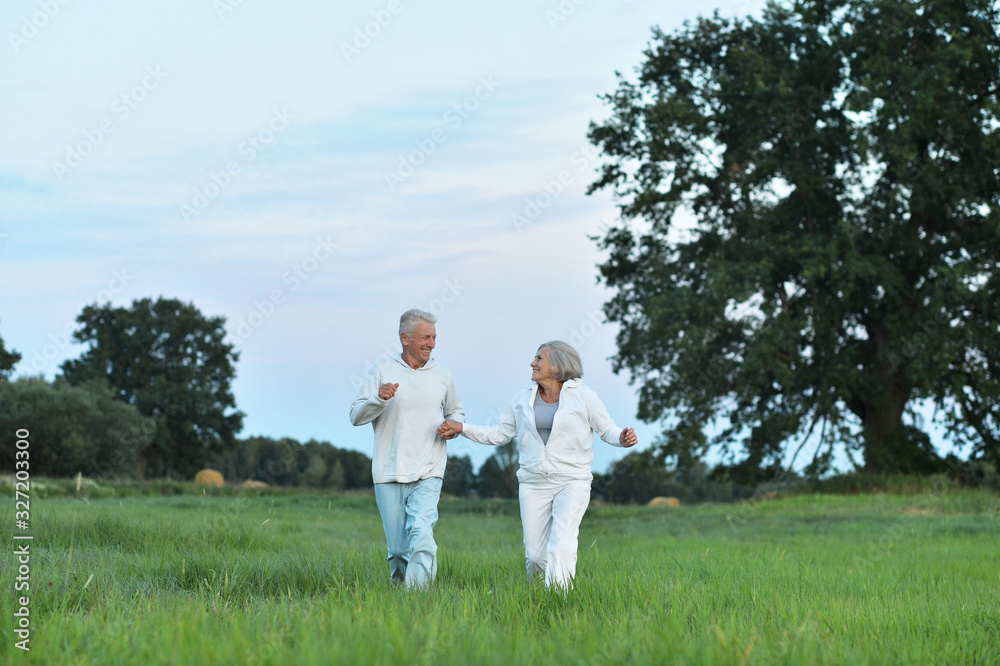 Happy beautiful senior couple running in summer field Happy beautiful senior couple running in summer field