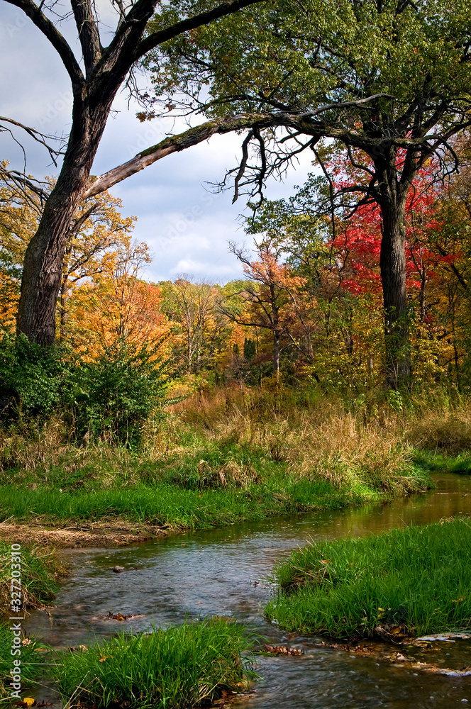 A small creek flows through a landscape of autumn colors. A small creek flows through a landscape of autumn colors.