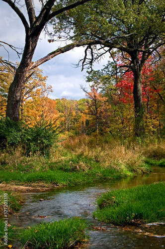 A small creek flows through a landscape of autumn colors.