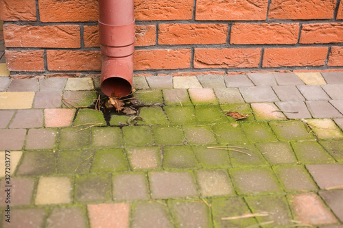 brudna, porośnięta na zielono kostka brukowa na tle rynny przyczepionej do ceglastego budynku © Achondryt
