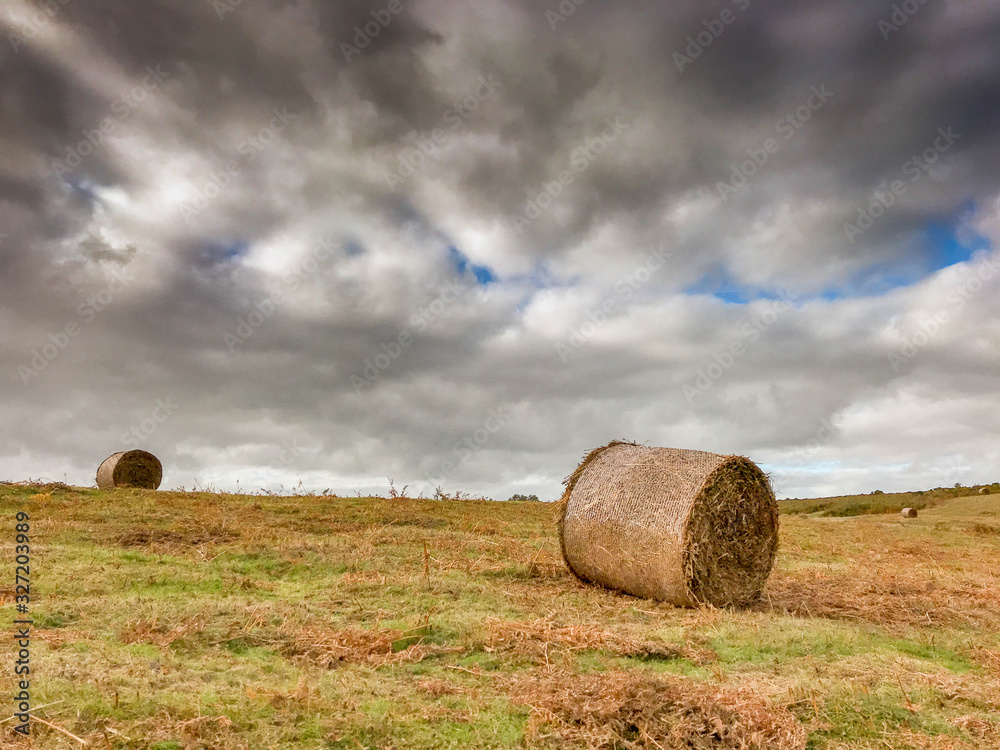 Large bales of hay on a field with bracken on the ground and dark clouds in the sky 
