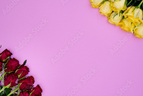 Cute Pink background with diagonal corners from red roses and yellow roses. With large copy space ready for design, banners, blanks and posters.