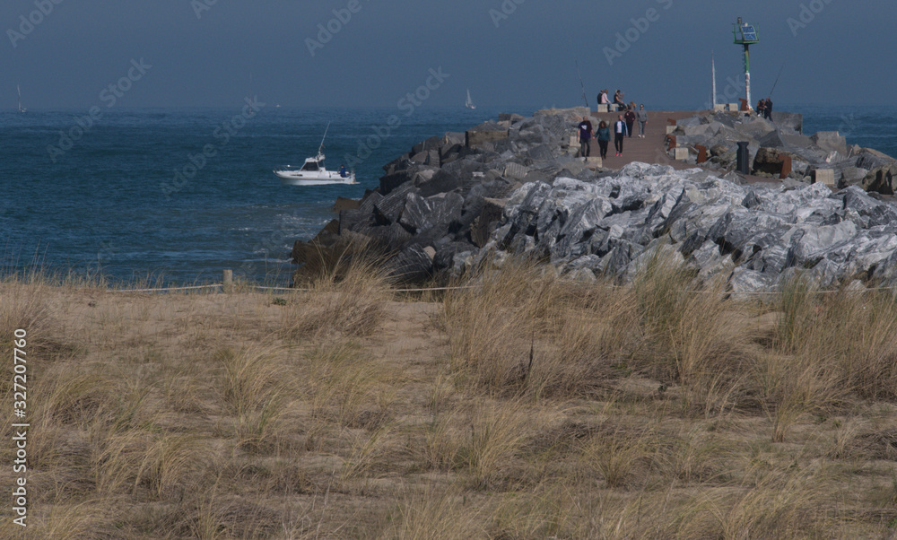 Oyant plant in the sand in foreground with people walking on a pier and a boat 