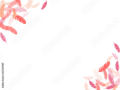 Falling feather elements soft vector design.
