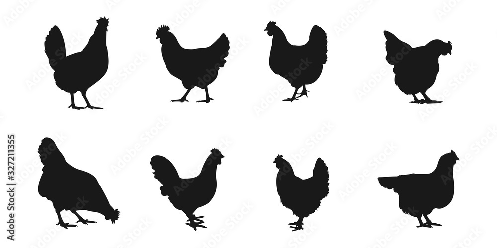 silhouettes of hen chicken. vector Illustration Stock Vector | Adobe Stock