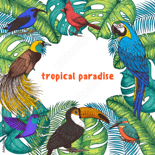 Tropical birds and palm leaves vector illustration. Colorful toucan, cardinal bird, kingfisher, hummingbird, parrot, bird of paradise. Hand drawn illustration. Summer design template. Tropical fauna