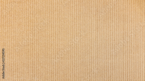 Paper cardboard background. Natural corrugated carton sheet. Kraft cardboard texture with vertical stripes. photo