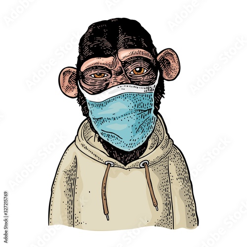 Monkey dressed in the hoodie and medical mask. Vintage engraving