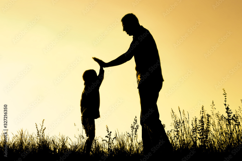 happy parent with child in the park outdoors silhouette happy parent with child in the park outdoors silhouette
