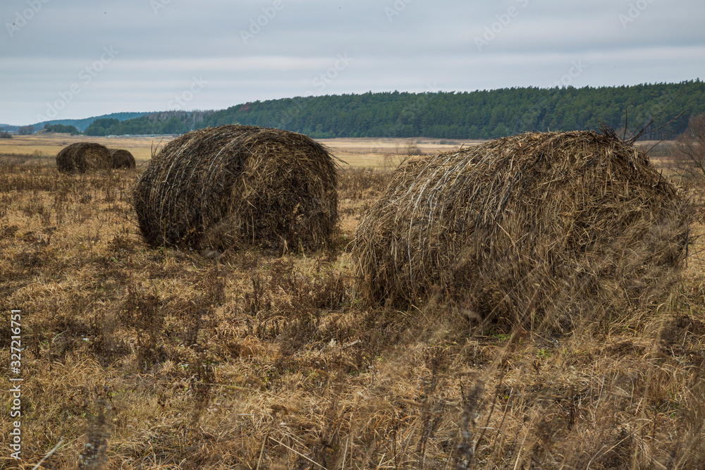 Gloomy weather in the fall. A stack of hay