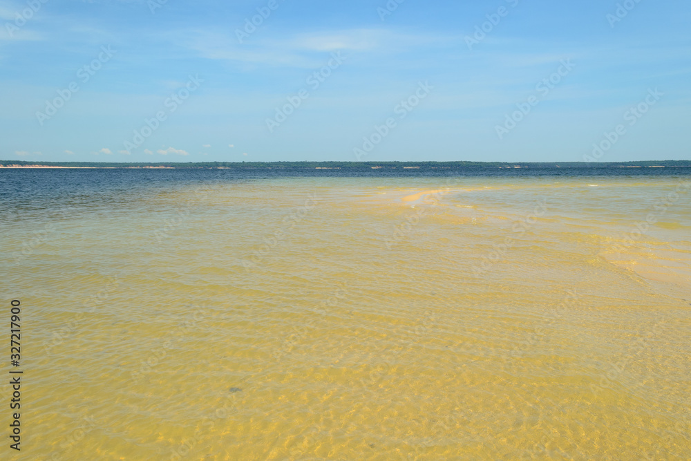 Obraz premium The clean and transparent water of the natural beaches of the Amazon river in Brazil il the middle of the forest