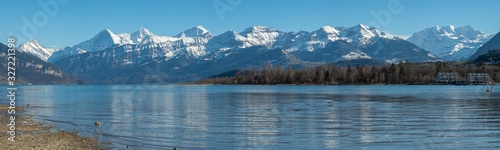 Panorama view to the alps with Eiger  M  nch and Jungfrau on the Lake Thun