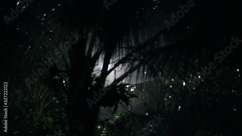 Tropical downpour (torrential rain) in Colombo at night. Monsoonal circulation in Sri Lanka photo