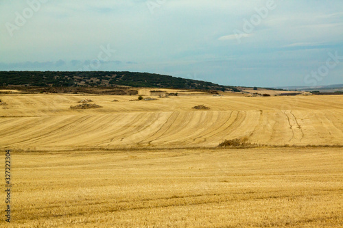 Paisaje agrícola de Burgos, España