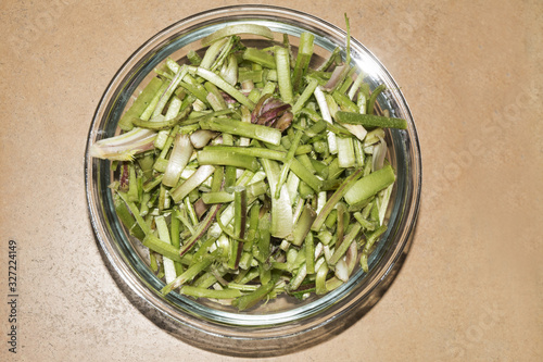 Scolymus hispanicus Spanish oyster thistle is an edible plant very culinary appreciated in certain areas of Andalusia only the central nerves of the leaf are used when they are young