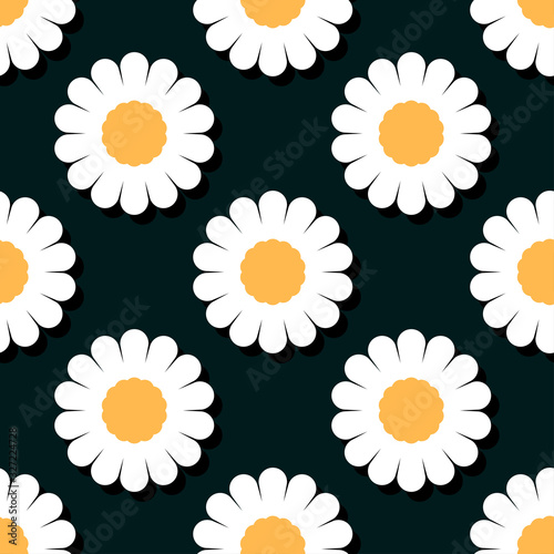 Beautiful bright camomile flowers with shadow isolated on black dark background. Seamless pattern. Vector graphic drawing. Texture.