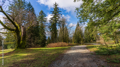 Gravel trail winding through lichen-clad trees at Burnaby Mountain Park