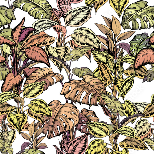 Large monstera leaves and ornamental topical plants.