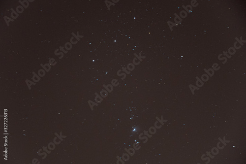 View of the Orion Constellation from a park of Madrid, Spain photo