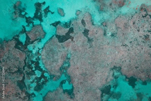 Reef in the blue ocean in the Dominican Republic. © Yorick