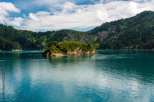 emerald colored island in marlborough sounds