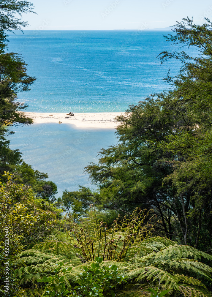 tropical beach in abel tasman national park