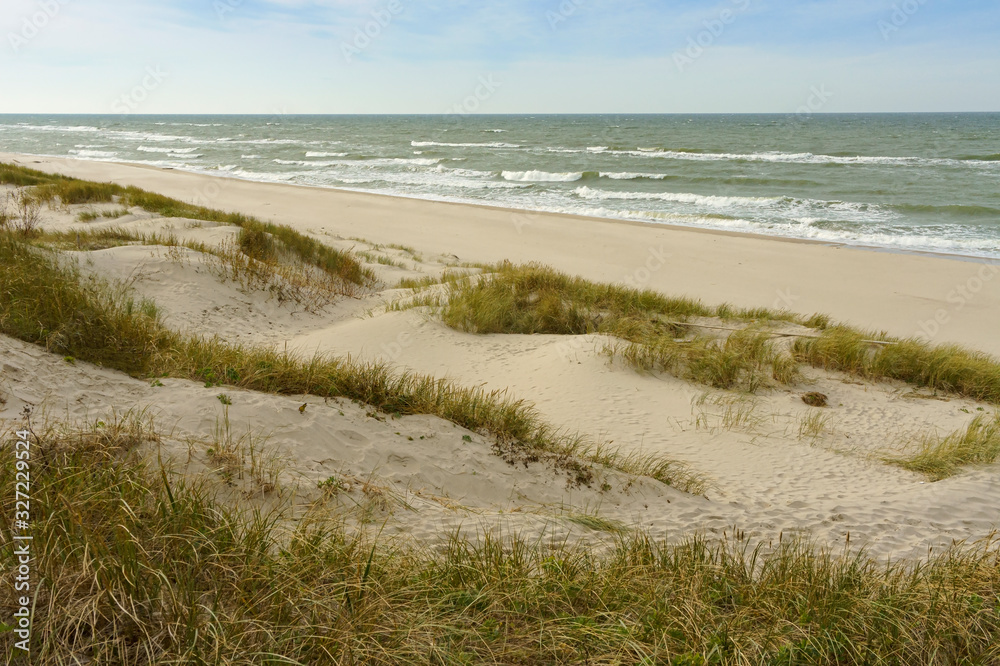 Sand dunes. Sand dunes on the sea beach.