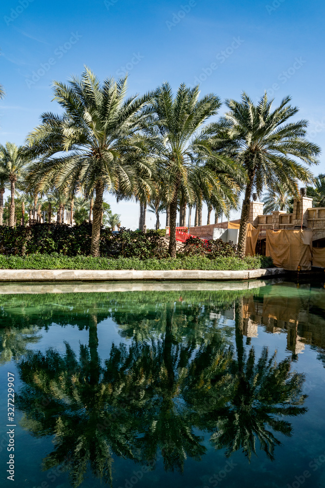 Fototapeta premium landscape, nature, clear, day, blue, sky, Sunny, light, palm trees, trees, buildings, buildings, wall, canal, emerald, water, surface, water, reflections, architecture, style, travel, leisure, walk