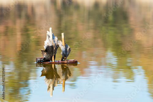 toy wooden boat in the lake. Boat made of bark and leaves