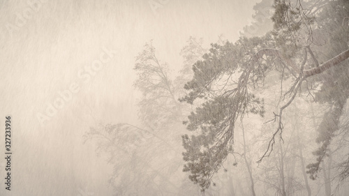 Snow blizzard over frozen river and winter forest