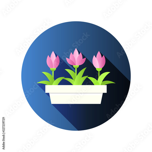 Vector illustration with flower pot in flat style. Vector narcissus isolated on white background