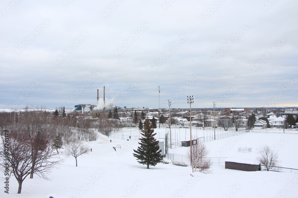 Fototapeta premium ciudad nevada 