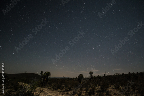 Desert night © Marline