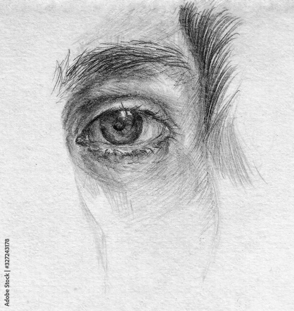 Fototapeta premium Close-up picture of the human eye. Pencil drawing on white paper.