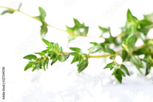abstract thyme twigs macro isolated on white  background 