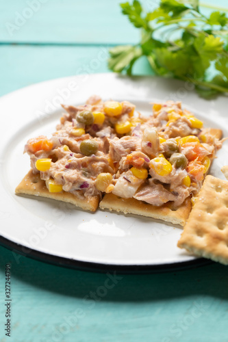 Tuna salad with mayonnaise on turquoise background