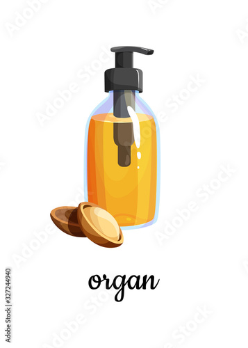 A bottle of argan plant oil with kernels of the argan tree. 