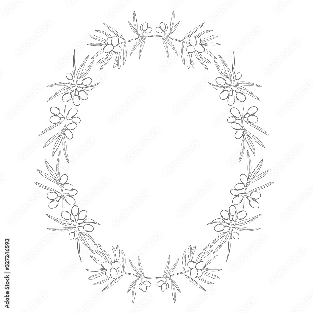Olive branches frame. Vegetable oval border pattern on white. Hand drawn olives fruits and leaves in Olive branches frame. Vegetable oval border pattern on white. Hand drawn olives fruits and leaves in
