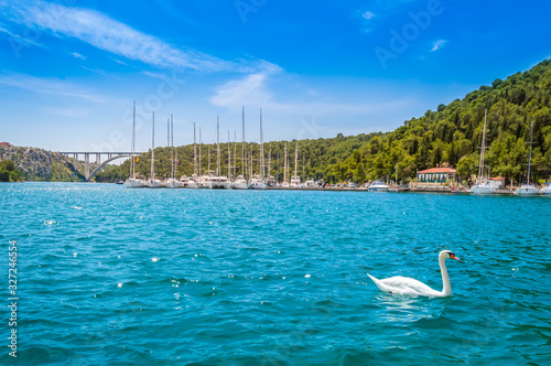 Swan and yachts at pier in Skradin in Krka National Park  Croatia. Sibenik bridge over Krka River with clear water on a sunny day.