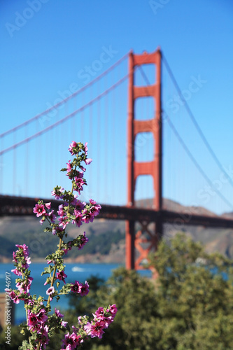 Golden Gate Bridge, San Francisco © Jennifer Chen