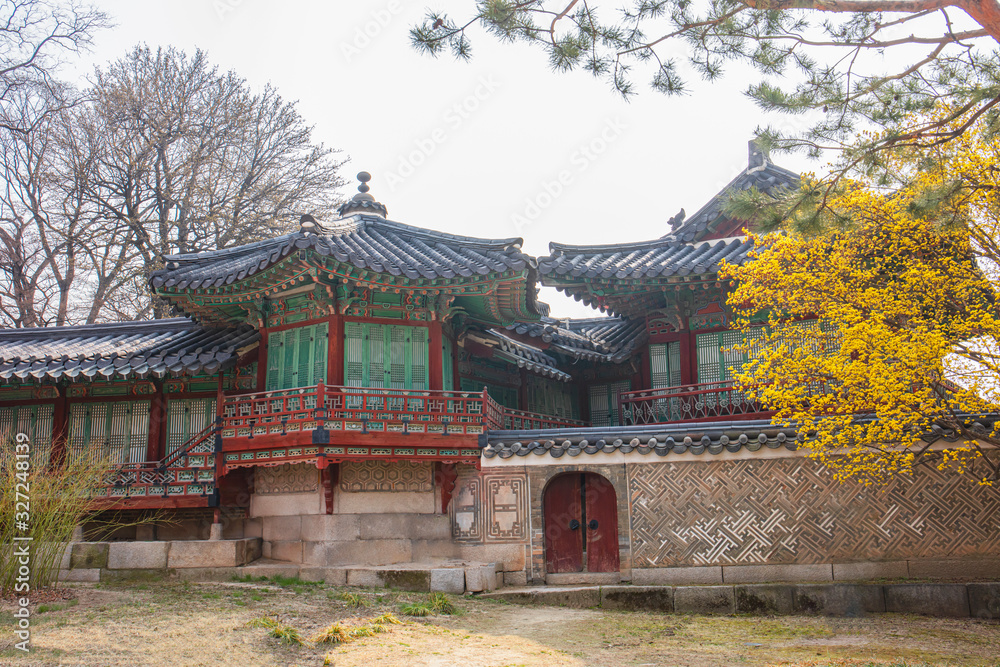 Changdeokgung Palace in Spring Seoul South Korea Changdeokgung Palace in Spring Seoul South Korea