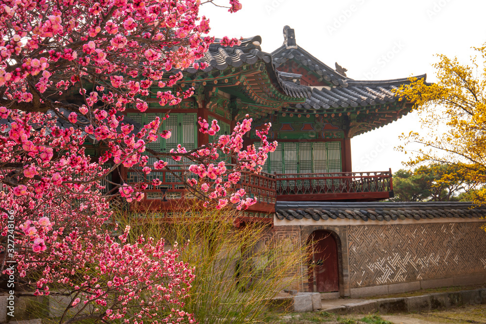 Changdeokgung Palace in Spring Seoul  South Korea