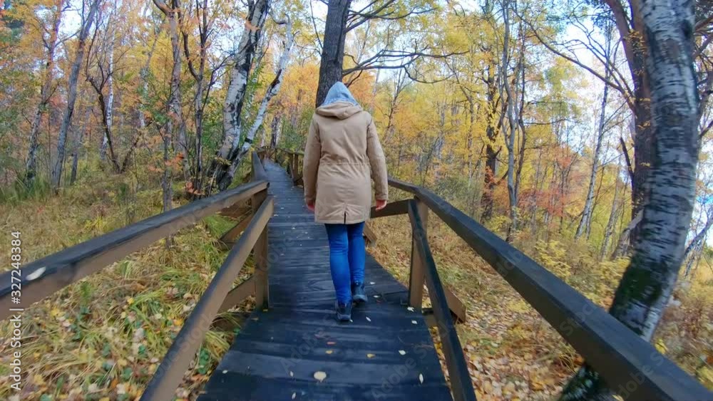 Girl in a hood walks along an eco trail in the autumn forest. Back view, Girl in a hood walks along an eco trail in the autumn forest. Back view,