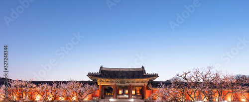 Spring Time of Changgyeonggung Palace at night in Seoul South Korea photo